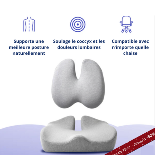 Ensemble de Coussins de siège Orthopédiques